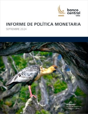 Informe de Política monetaria