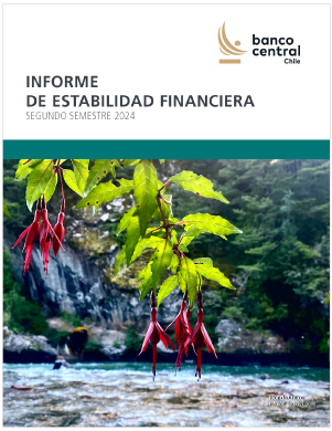 Informe de Estabilidad Financiera Segundo Semestre 2024